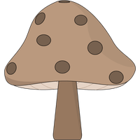 Mushroom Bing Images Mushrooms Search Png Image Alligator PNG Image