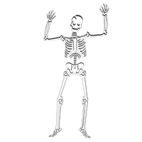 Download Skeleton Category Png, Clipart and Icons | FreePngClipart