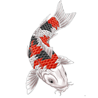 Koi Tattoo Irezumi Japan Free PNG HQ PNG Image