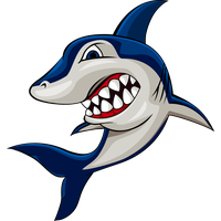 Shark Photography Cartoon Stock Free Download PNG HD PNG Image