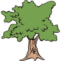 Trees Tree Images Png Image Florida PNG Image