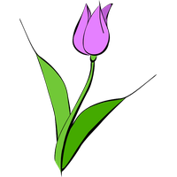 Download Tulip Border Png Images Clipart PNG Free | FreePngClipart